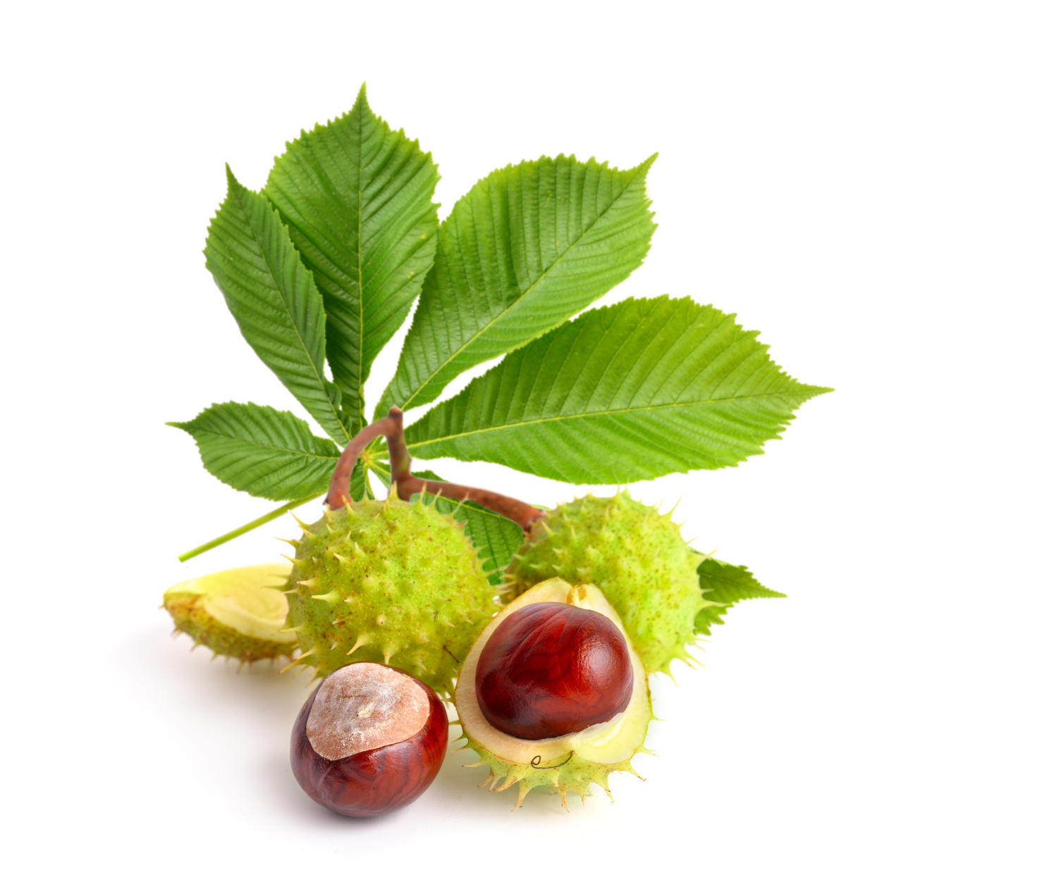 VENEN SALBE 50g