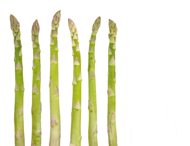 ABNEHMEN MIT ASPARAGUS FORTE
