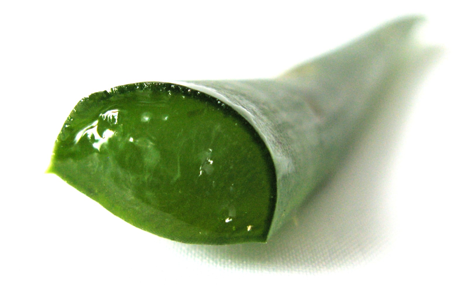 NDF BIO SALBE mit ALOE 100g  Hochenegg Naturheilverfahren GmbH